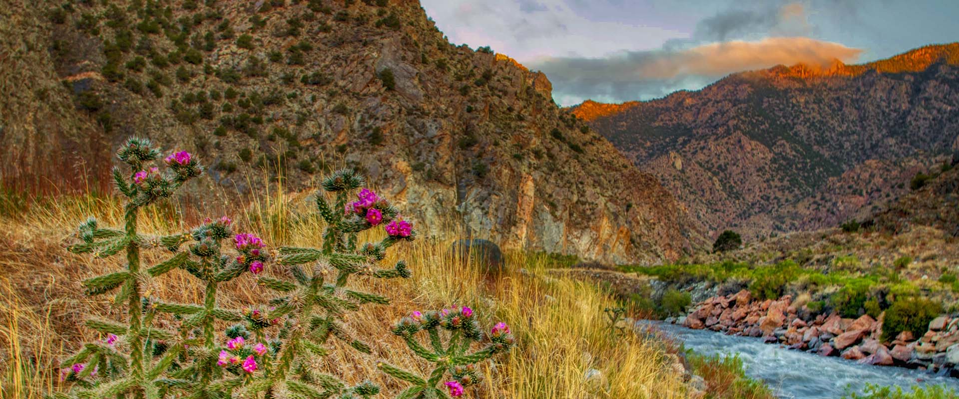 Arkansas River Valley with Sangre de Cristo mountains and pinon forests